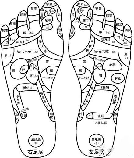 不弃世俗荣华焉能领悟佛学真谛