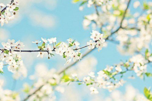 人生四大富足，你拥有了多少？