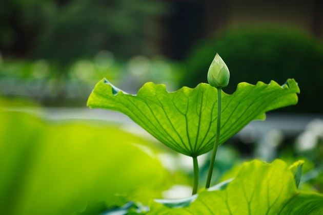 常敏法师答：我们做不了多少善，但要有向善之心，是不是这样？