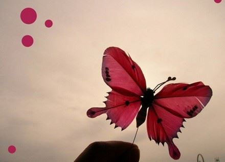 既皈依佛法、切不可又兼修炼丹运气、邪正夹杂