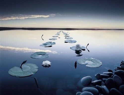 干活也是修行，忙碌而欢喜