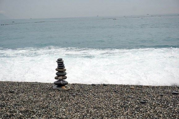 万花中为什么只有莲花被收为佛教圣花？