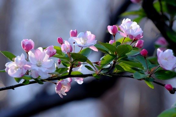 想知道来生是什么样吗？这样看比算命还准确