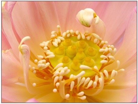 进入佛门之后，修学中所遇到的种种歧途