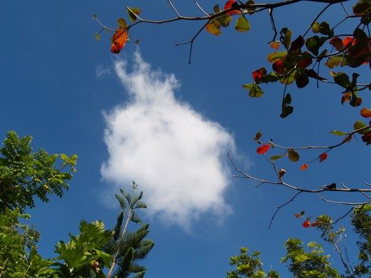 常敏法师答：如何理解“一切恐惧，为作大安”？