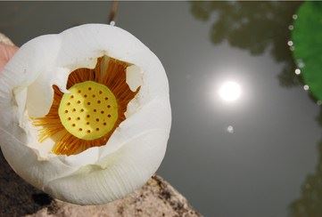 华山思过崖：戒酒念佛让我获得了一点点智慧