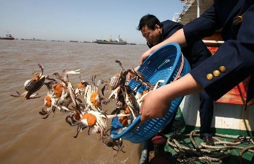 学佛要有效果要有成就，请先参考对照“八字方针”！