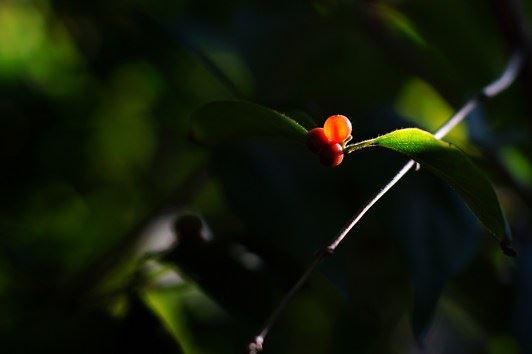 佛教里经常说的灌顶是什么意思，有什么含义吗？