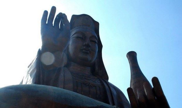 横祸都来自果报咎由自取