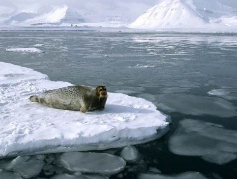 邪淫纵横心存恶念的因果报应