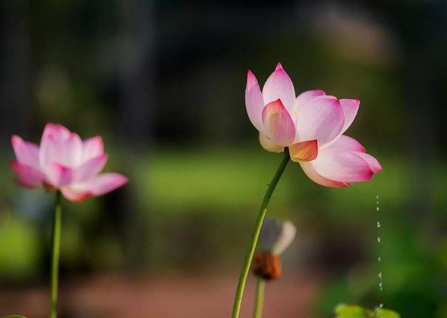 佛理探秘！生孩子是还债？孩子真的是讨债鬼吗？