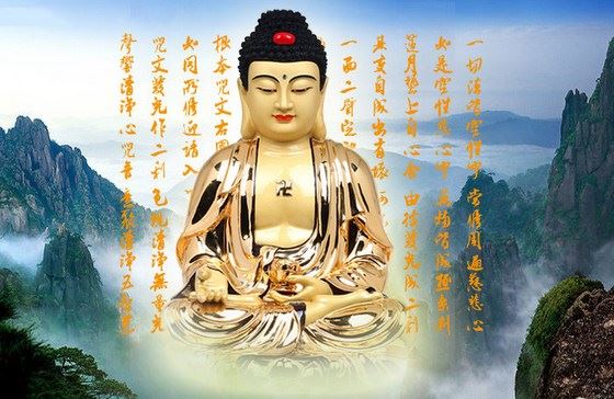 你对动物念过往生咒吗？