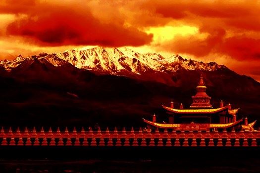 净土宗根本经典“五经一论”的选取过程