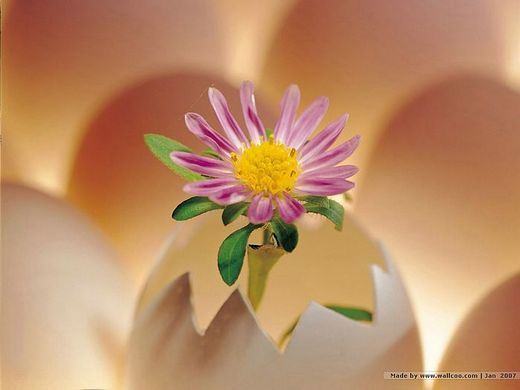 佛说过午不食还有哪5种利益？