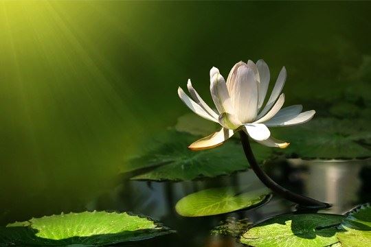 到山东不可不拜这六大佛教古刹据说很灵验！