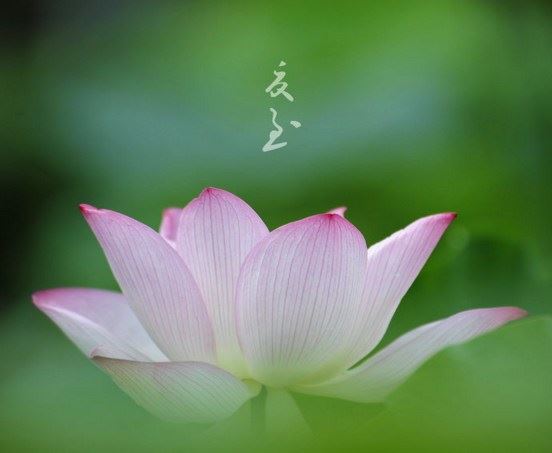 什么修法能断除对此生的贪恋，唯一希求来世的解脱？
