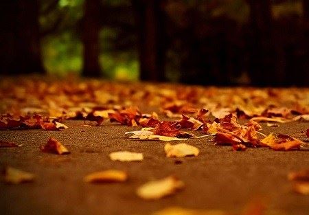 带您了解佛教中的“观自在菩萨”？