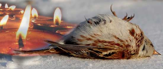 人生不过是一张清单