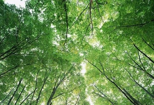 如何按《地藏经》的方法来积功累德，超度父母？