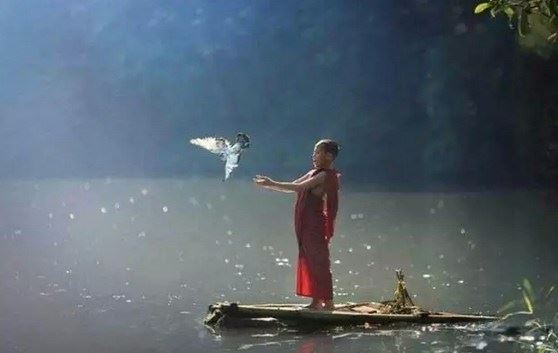 一念一言一行皆须慎之，触怒鬼神福尽人亡