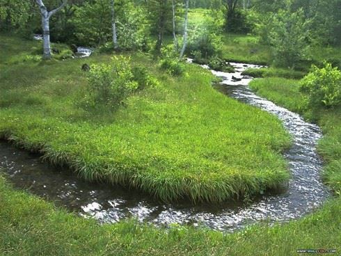 一定要皈依才能学佛吗？一定要皈依才有资格称为佛弟子？