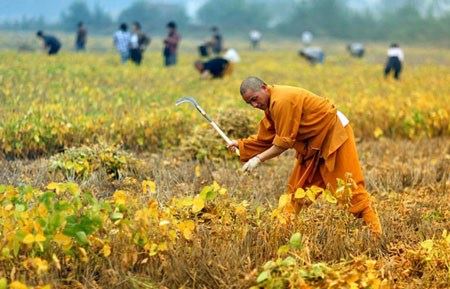 人生是一场没有尽头的修行