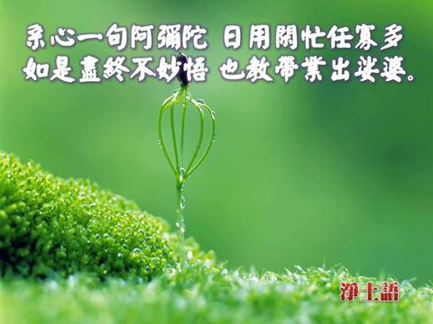 恭迎燃灯古佛圣诞燃灯佛与释迦佛的因缘故事