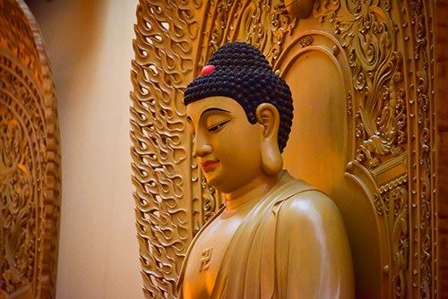 南怀瑾：佛教为您揭秘“人类”真的是由“猴子”进化而来的吗？