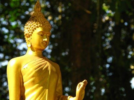 发生在我身边杀害动物的真实果报