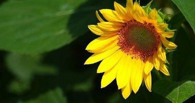 业力感召，未来世界非常可怕！