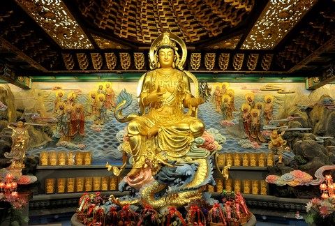 求佛知见，度灭于癌
