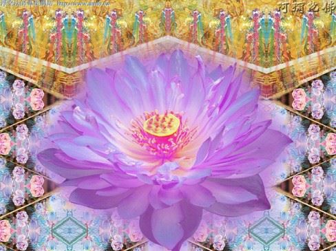 佛教教徒应做到的基本礼仪