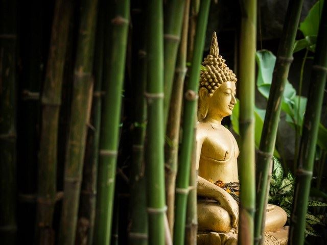 戒杀会有神明保护