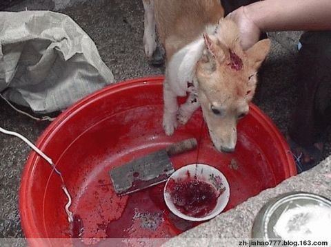 为什么佛门里禁酒？