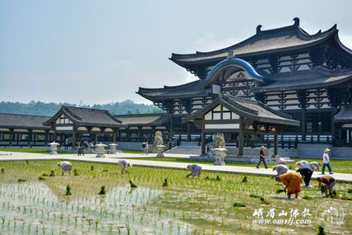 仁清法师：诵哪部经消业最快？