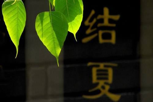 你知道要怎样去做好一个名副其实的佛教徒吗？