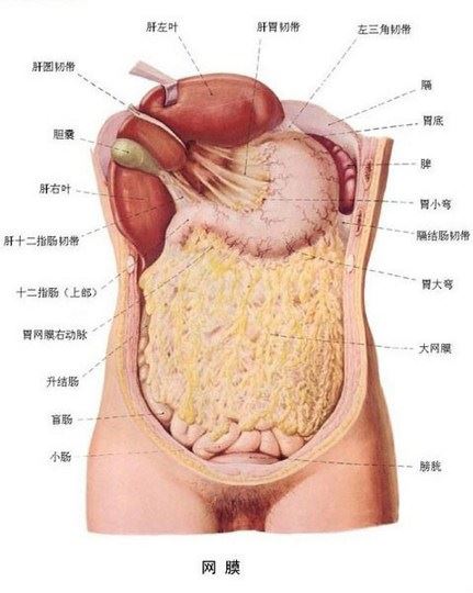 佛教中最能提现佛教智慧的几部经文佛咒