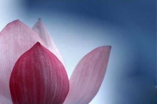 原谅不完美，善待每一天