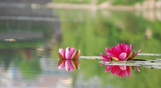 话说佛教的忏悔是在洗刷染污了的心，可是忏悔真的有用吗