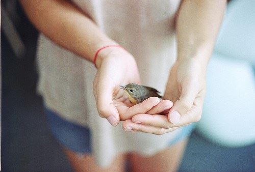 福祸相依，感恩我们所遭遇的一切