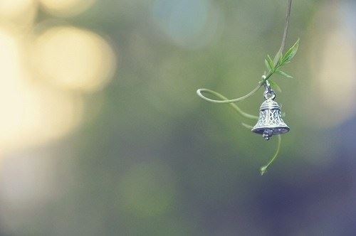 学佛无法改变命运源于没有顺应天道