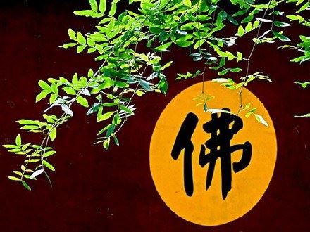 达真堪布:精进是一种迫切，而不是一种勉强