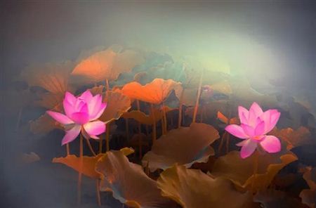 常敏法师答：我们为什么会信心欢喜念佛？