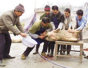 修学普贤十大愿王的功德利益