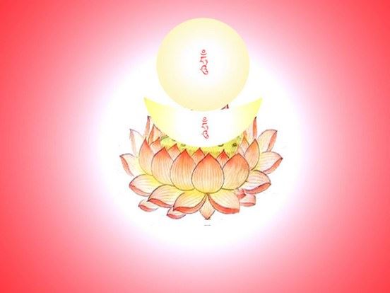 按佛陀编好的程序思考人生的意义