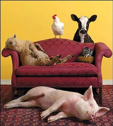 佛学常识课本小序一