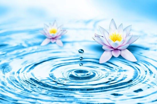 人善人欺天不欺