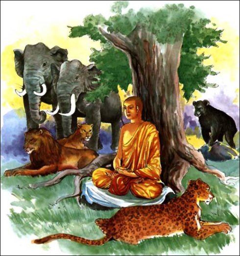 诵经时的“十二”点建议