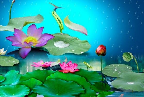 没有遇到事情，你绝对不知道有自已有多贪、有多自私、有多固执