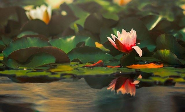 心幸福，人自在